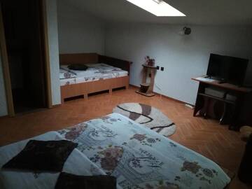 Фото номера Четырехместный номер Фермерские дома Pensiunea Dandu г. Корбени 8