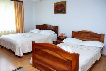 Фото номера Семейный номер с ванной комнатой Гостевой дом Rustic Argesean г. Корбени 4